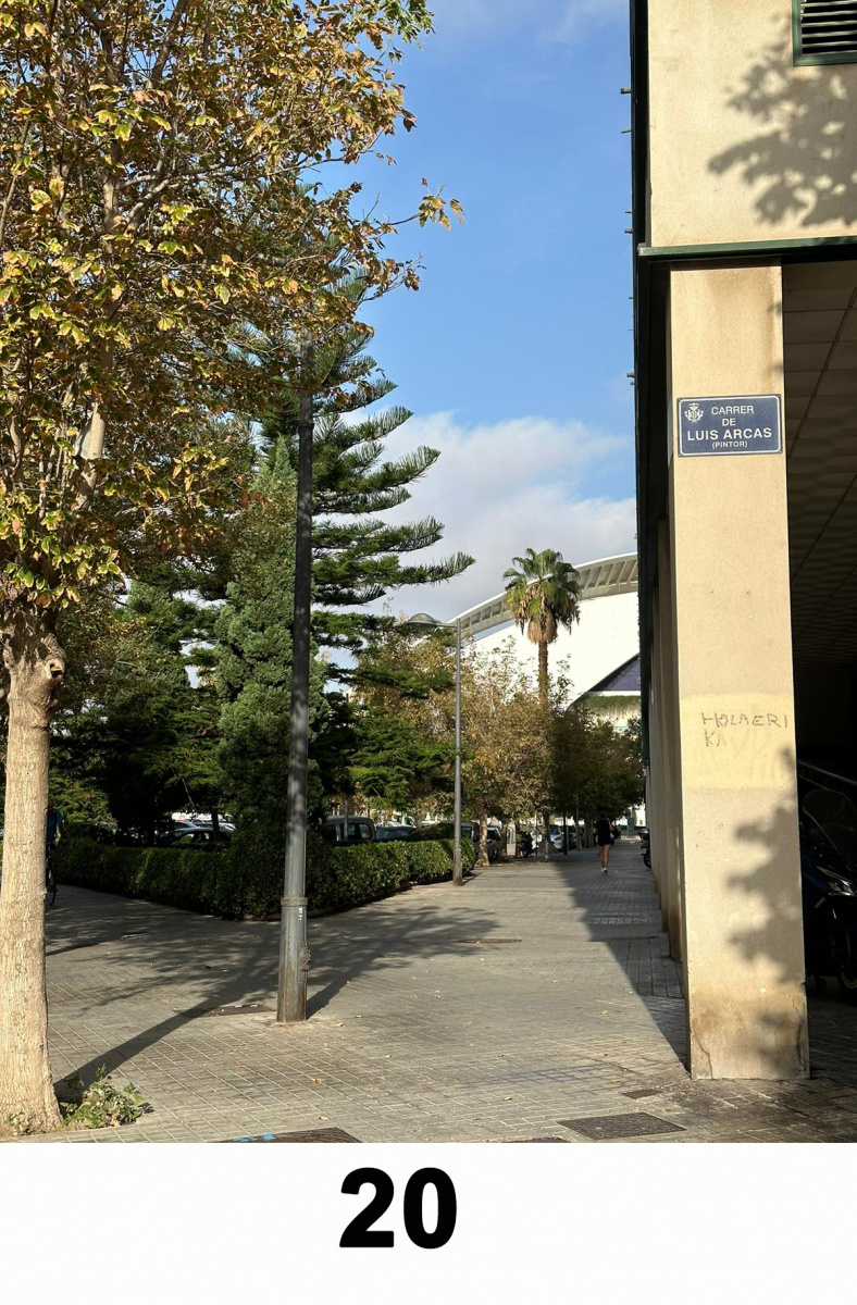 M-20-Vistas-al-Palau-de-les-Arts