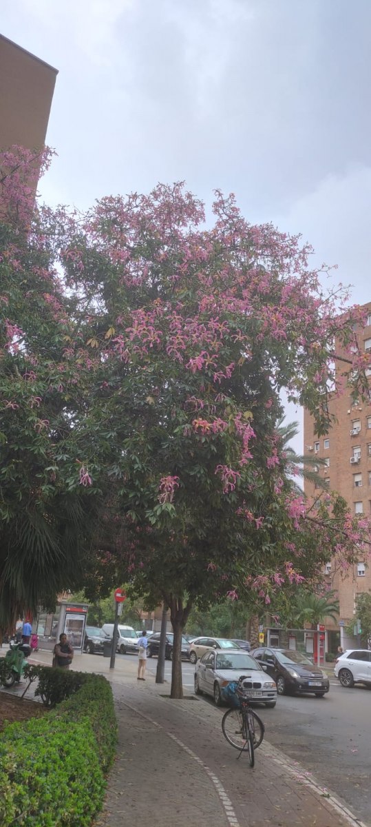 m-01-Respirar-campo