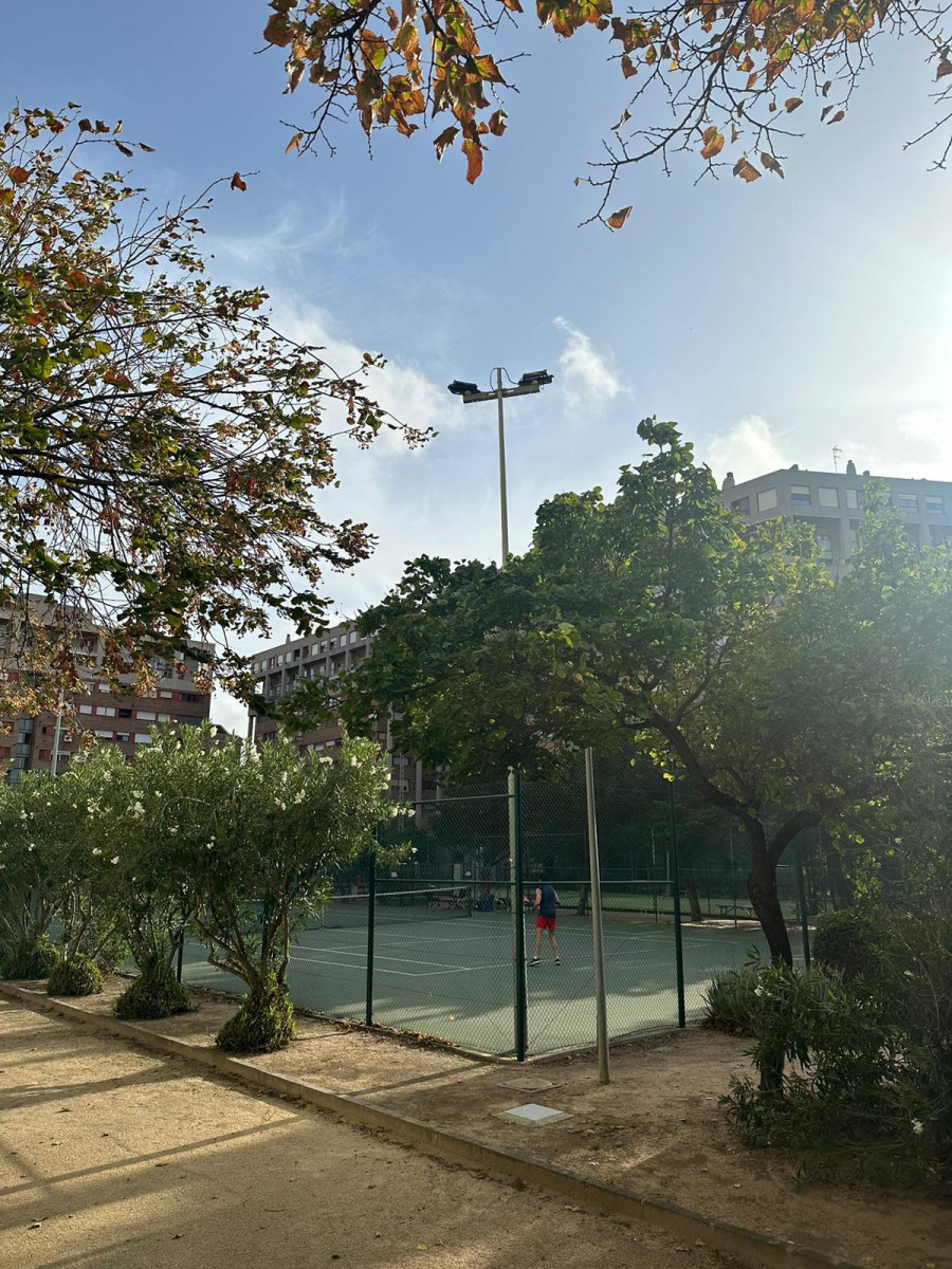 m-03-Pistas-de-tenis-entre-arboles-floreciendo