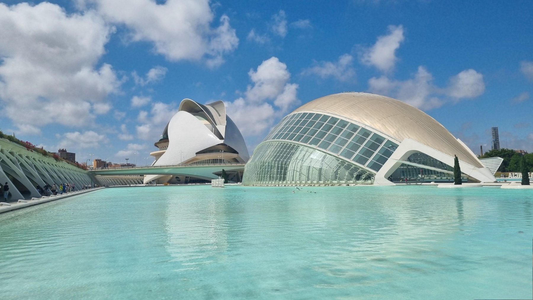 m-12-Un-dia-en-la-ciudad-de-las-Artes-y-las-Ciencias