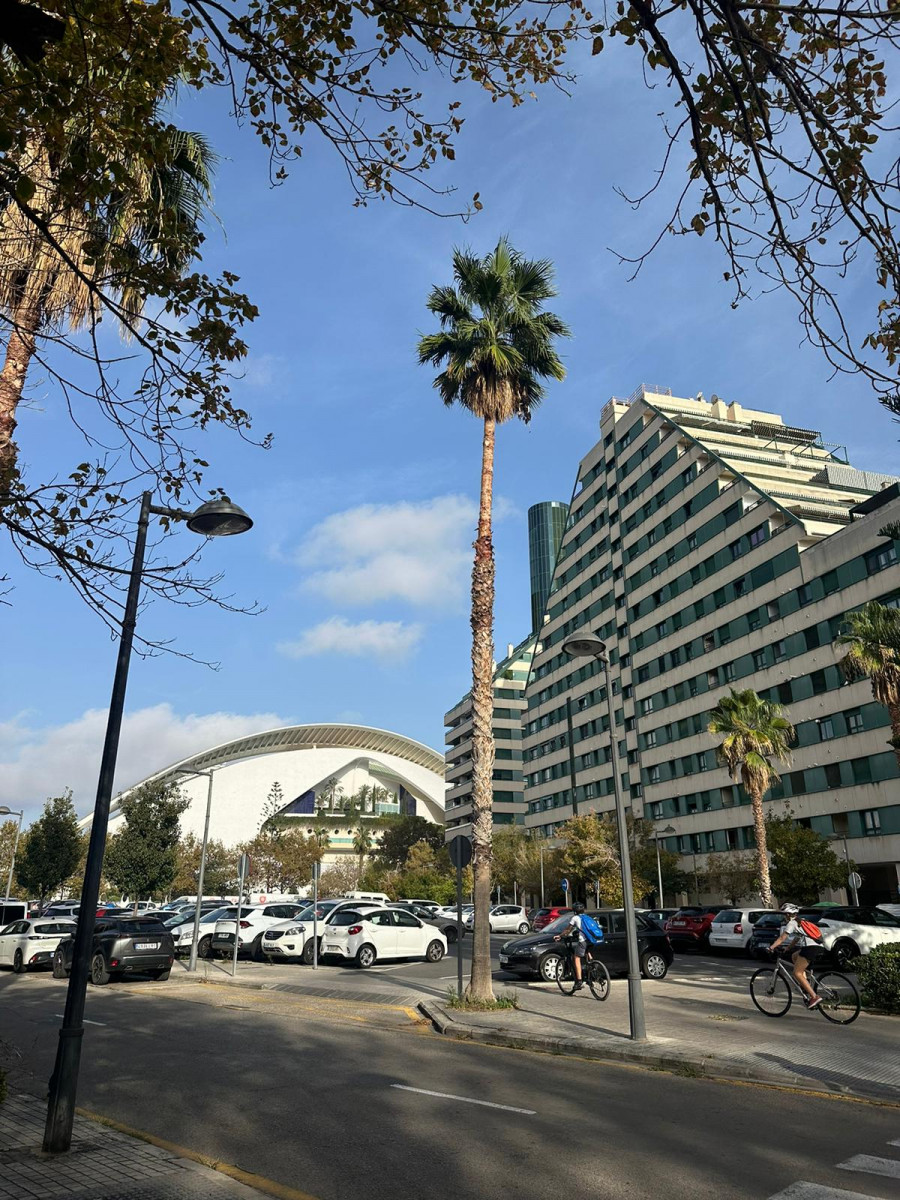m-16-Palau-de-les-arts-y-la-palmera